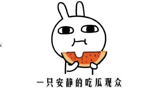 吃瓜热门事件网,吃瓜热门事件背后的真相与反思