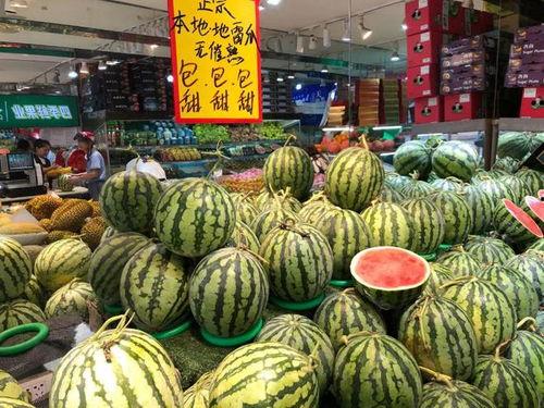 河北铺网销吃瓜