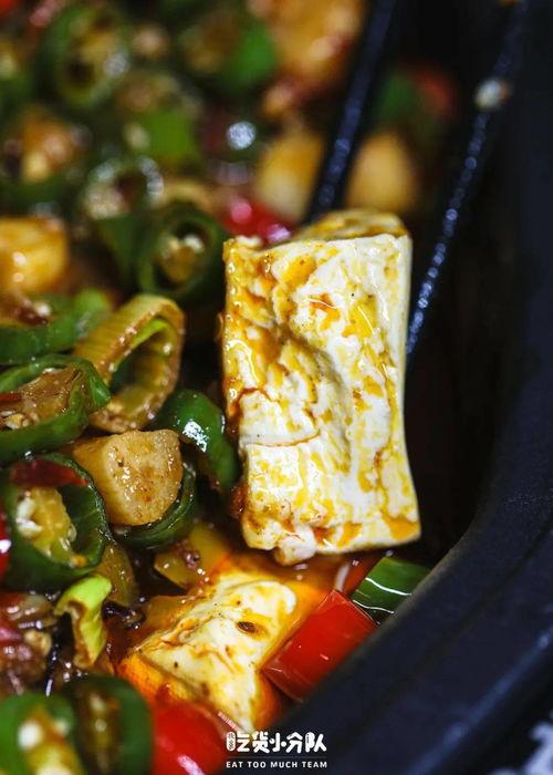 网红八卦爆料吃瓜,八卦爆料，吃瓜群众狂欢时刻