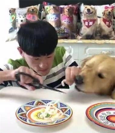 网红和狗吃瓜