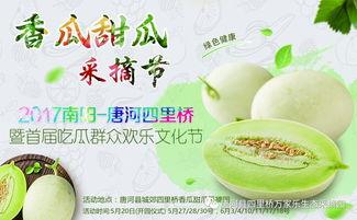 网红大咖吃瓜群众图片,一场视觉盛宴的碰撞